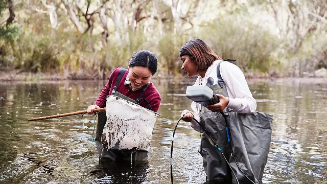 Students in the wetlands