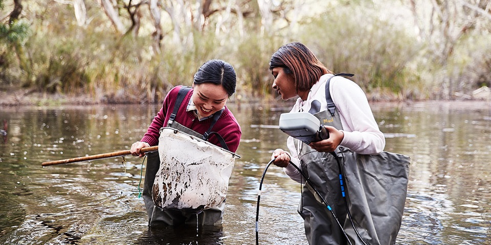 Students in the wetlands