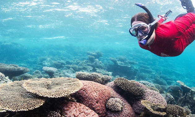 student snorkelling underwater