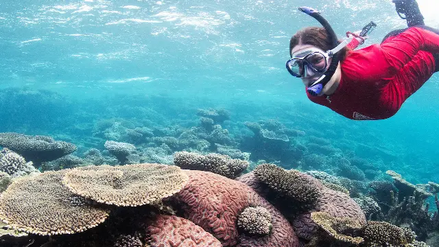 student snorkelling underwater