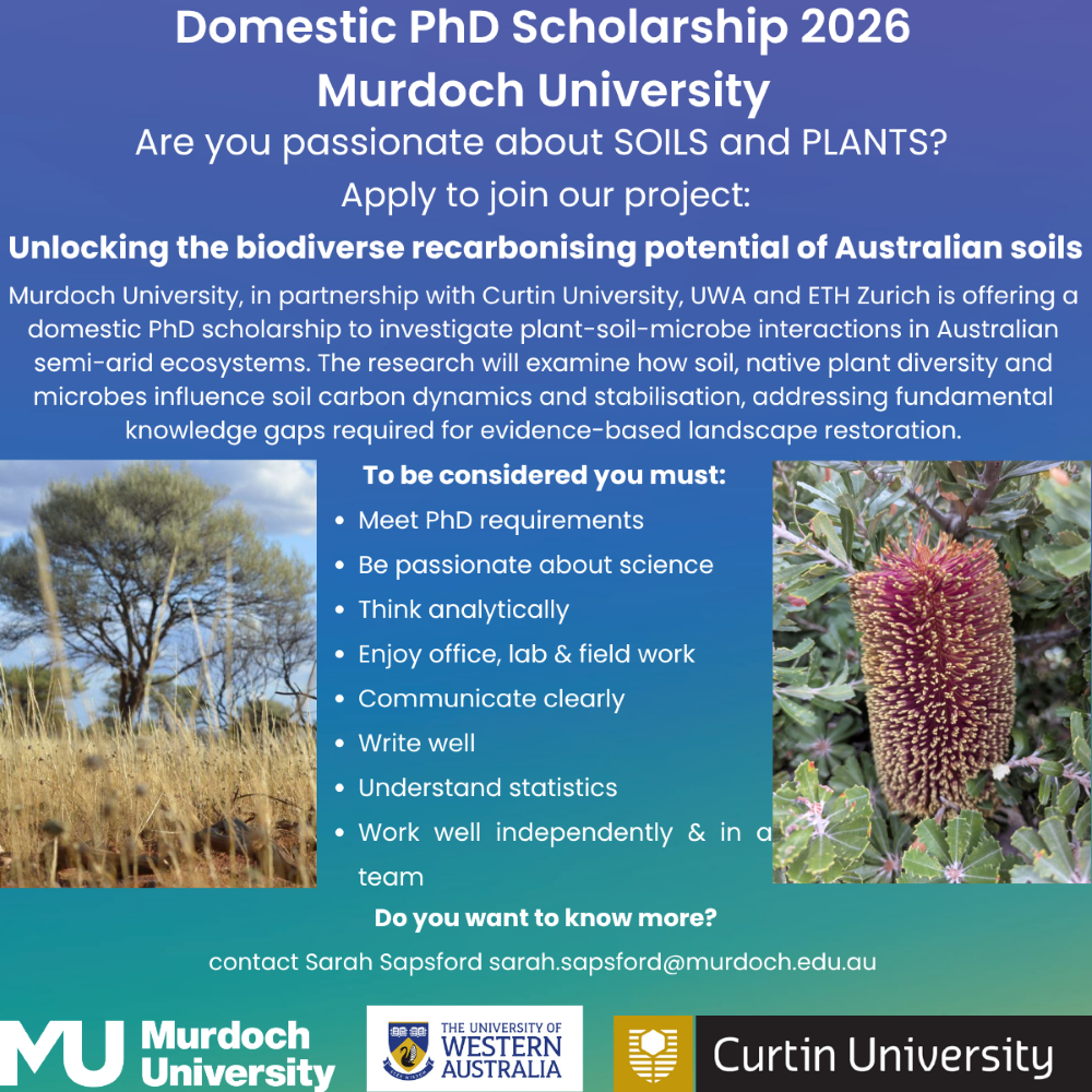 Domestic PhD Scholarship 2026 Murdoch University