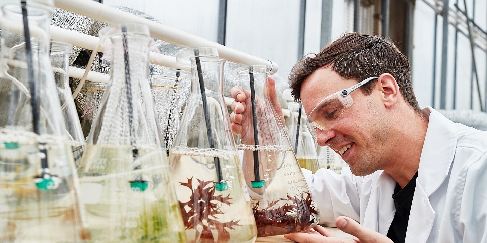 A student wearing safety glasses inspects a beaker in a science lab