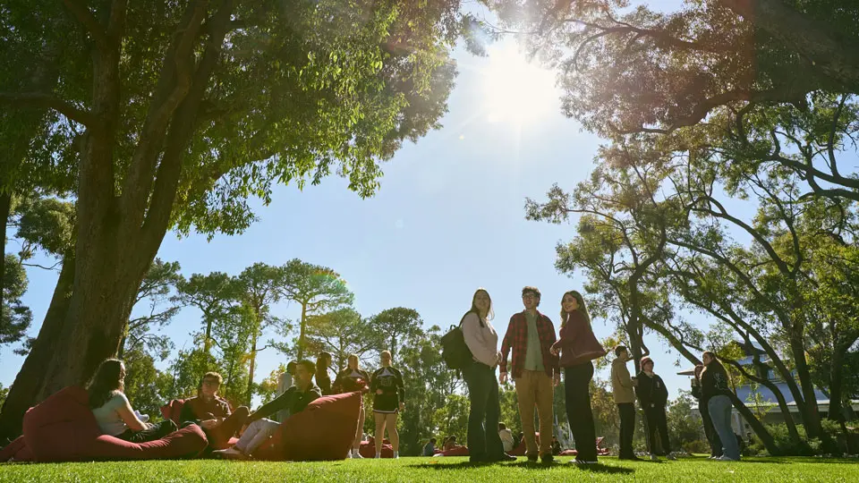 A group of students socialise and study together outdoors on a sunny university campus