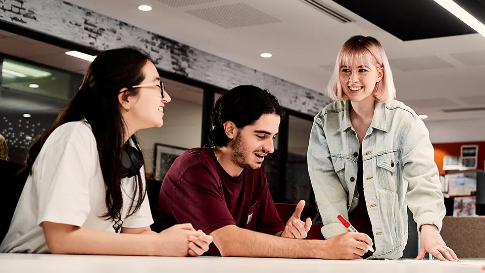 Murdoch University students working together