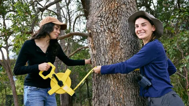 ECS students tree
