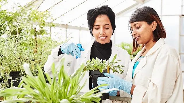 Murdoch University agricultural science students inspecting plant