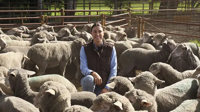 The researcher saving lambs and supporting farmers