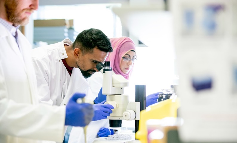 Male and female scientists working with microscopes