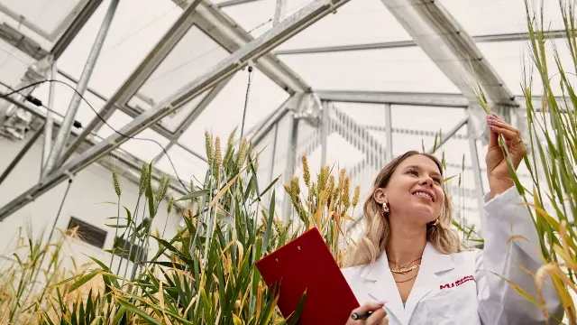 MMSF lead form image