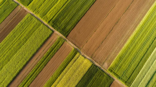 Food Futures Institute