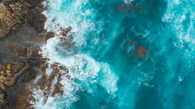 Harry Butler Institute