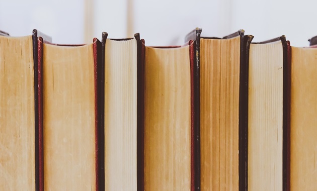 Books lined up in a row