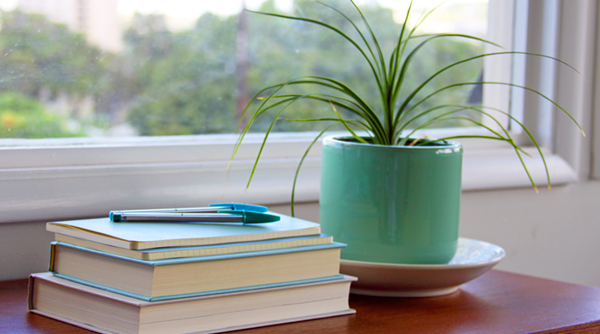 Pile of books, notebooks and pens next to a plant in front of a window