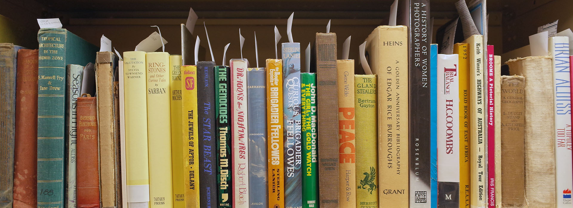 Books on a shelf in the special collections area