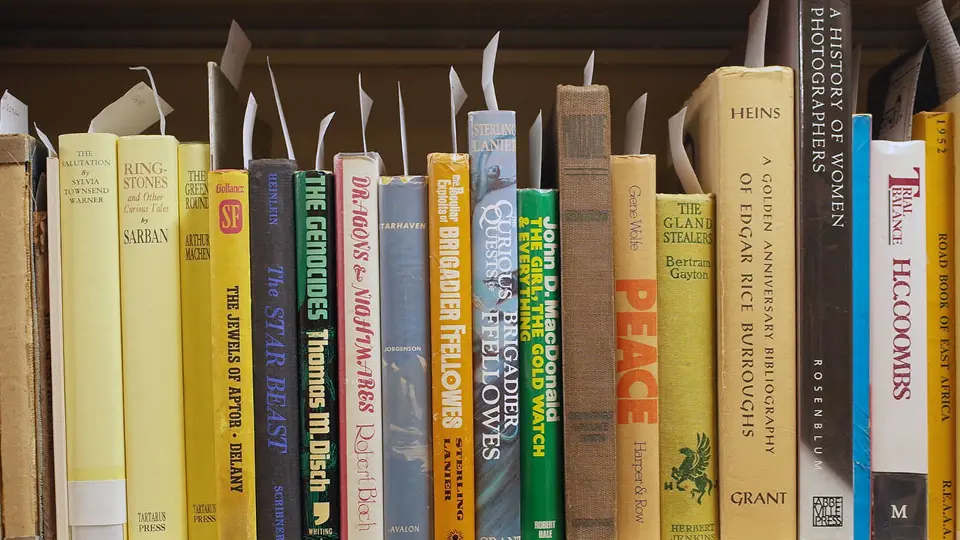 Books on a shelf in the special collections area