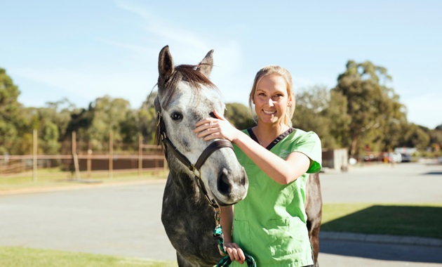 A veterinary student wearing green scrubs stands holding the reins of a dappled horse.