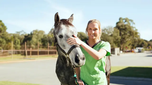 A veterinary student wearing green scrubs stands holding the reins of a dappled horse.