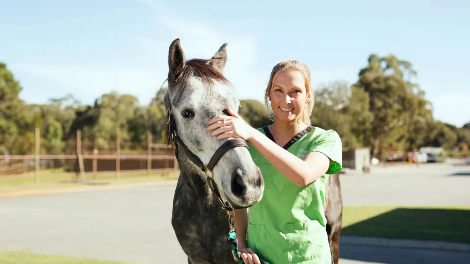 A veterinary student wearing green scrubs stands holding the reins of a dappled horse.