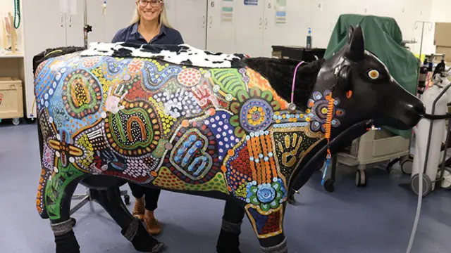 Image of a model cow used for teaching