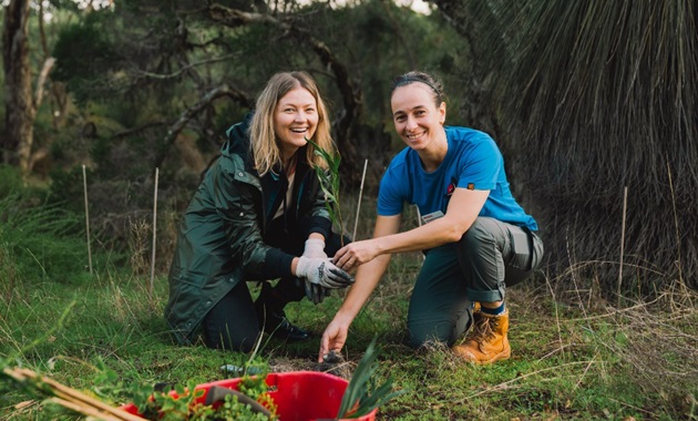 Two people plant trees