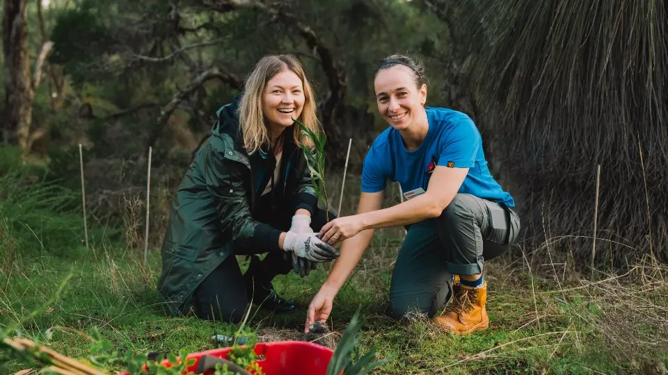 Murdoch University staff planting trees