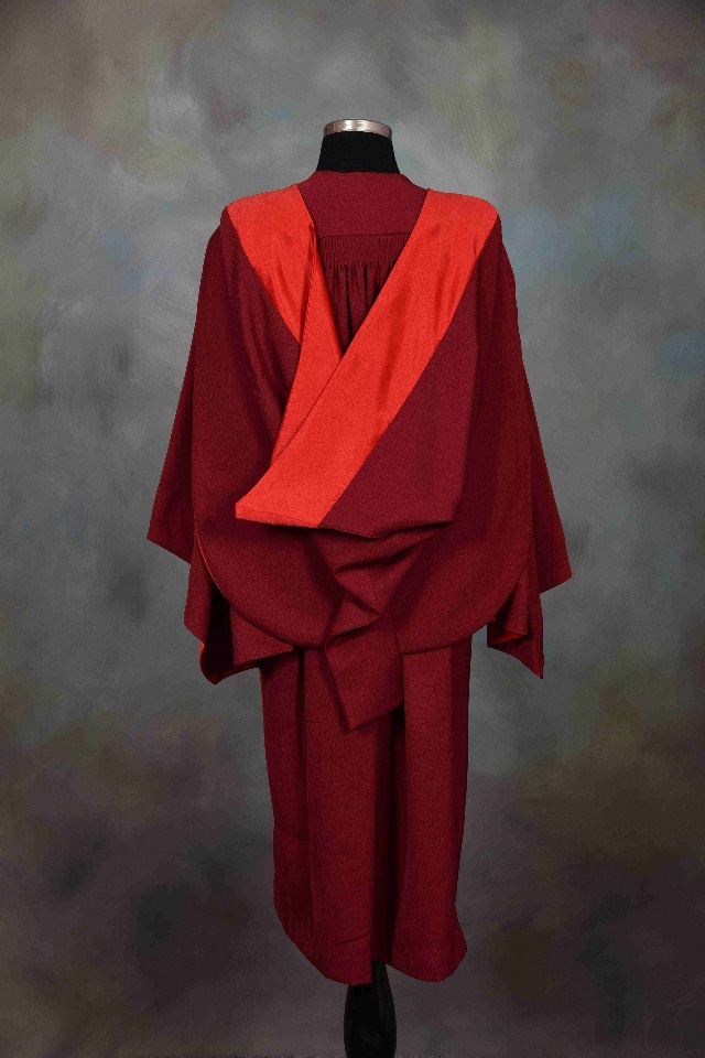 Back view of PhD graduation gown