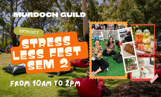 stress fest banner