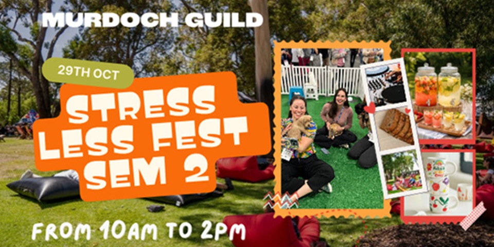 stress fest banner