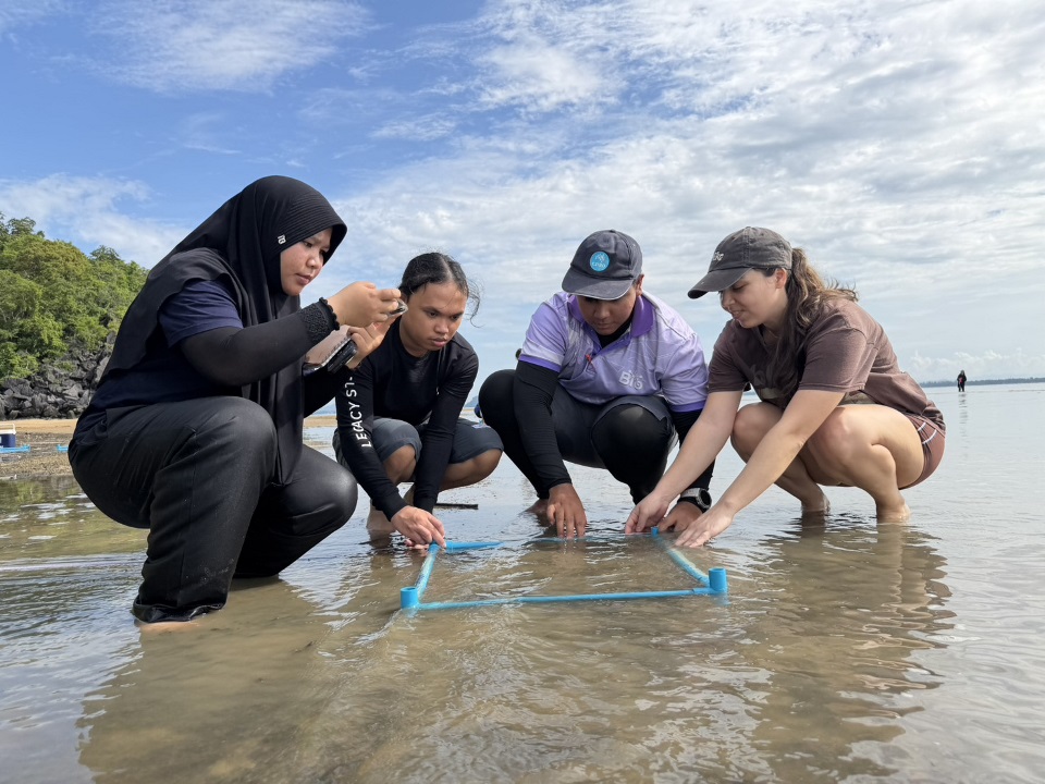 Researchers testing the bioplastic pod in the shallows. Researchers testing the bioplastic pod in the shallows.