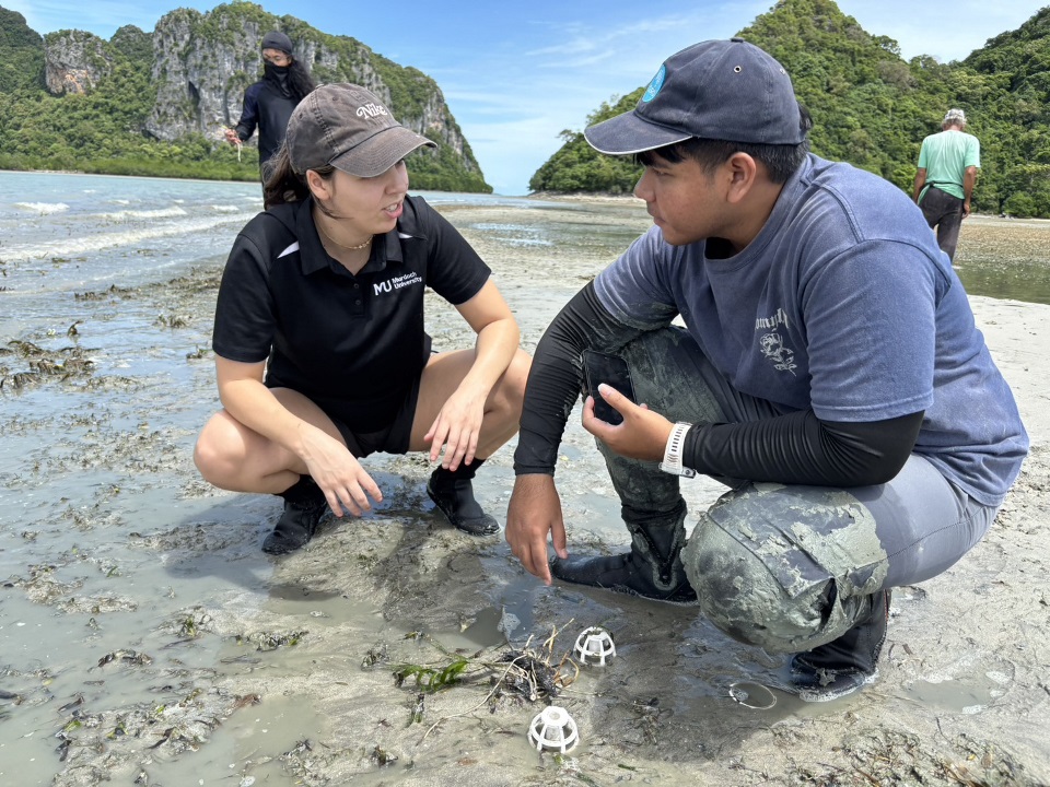 Bioplastic seagrass pod demonstration Two researchers squatting down in the shallows next to a seagrass pod.
