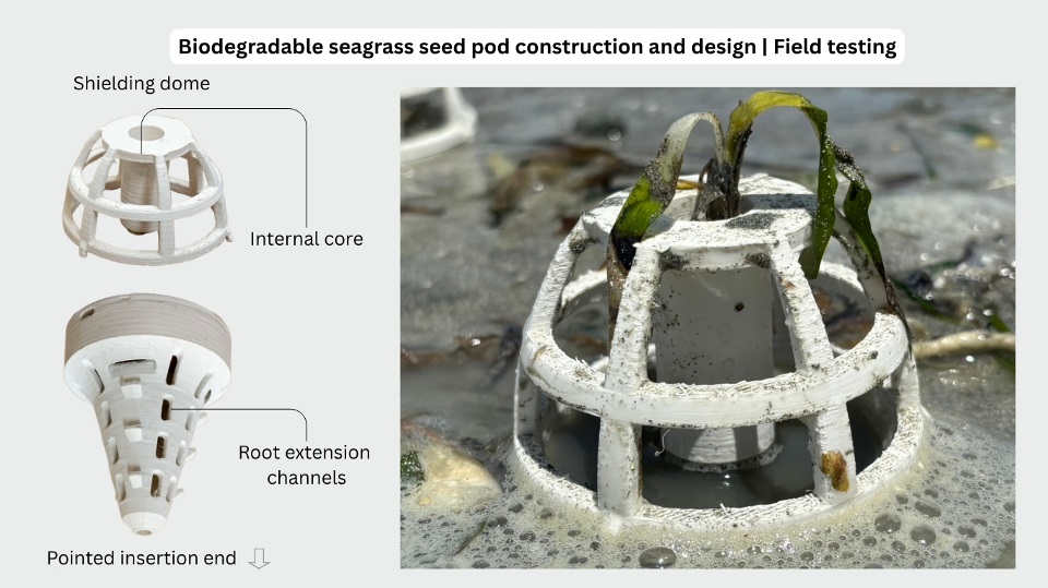 Graphic showing the design of the bioplastic pod Graphic showing the design of the bioplastic pod.