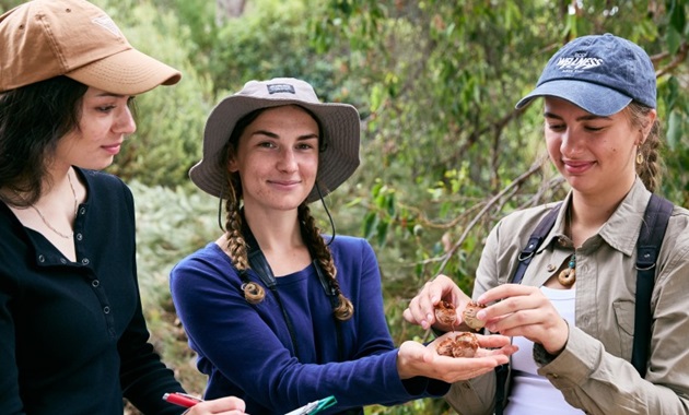 A career in Environmental and Conservation Sciences