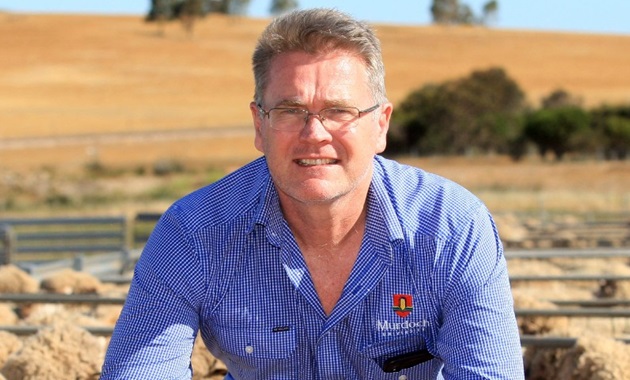 Dr Andrew Thompson standing in sheep yard