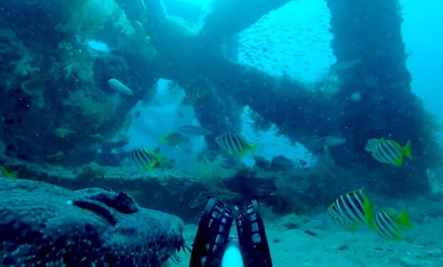 An artificial reef in Geographe Bay