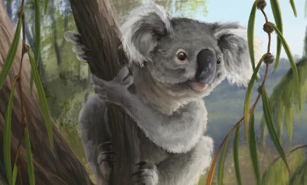 Artist’s reconstruction of the new Western Australian fossil koala species. Nellie Pease