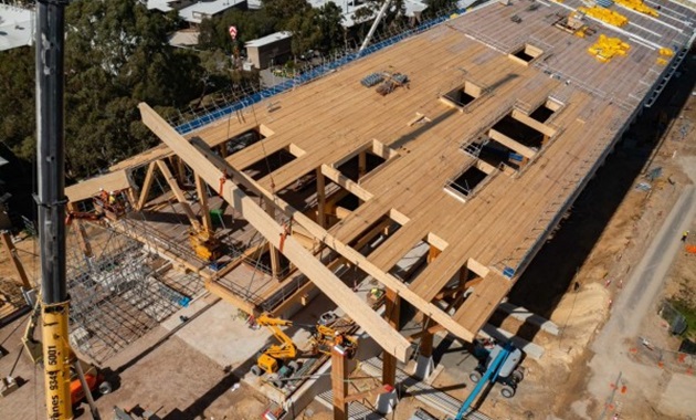 Crane lowering the timber beams onto the northern approach of Boola Katitjin