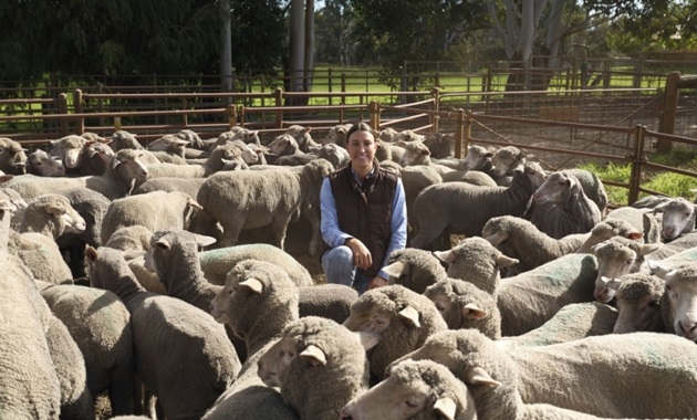 Murdoch University researcher Georgia Welsh is improving lamb survival through practical agricultural science, supporting farmers and advancing animal welfare across Australia.