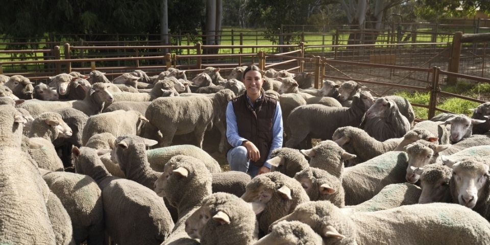 Murdoch University researcher Georgia Welsh is improving lamb survival through practical agricultural science, supporting farmers and advancing animal welfare across Australia.