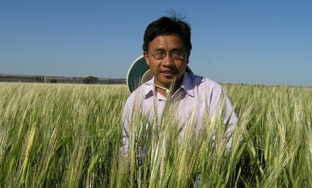 Chengdao Li in a barley field. Pic by DPIRD