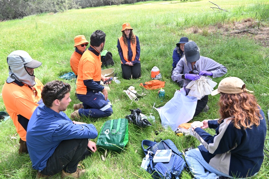 Community members helping with bat research in WA
