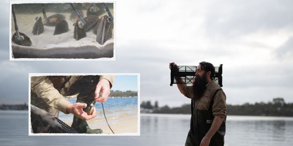Dr Alan Cottingham wading in the water with his Spyvalve sensors attached to mussels.