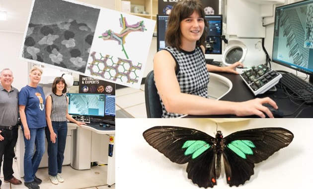 Dr Annie Jessop, research team and Emerald-patched Cattleheart butterfly.