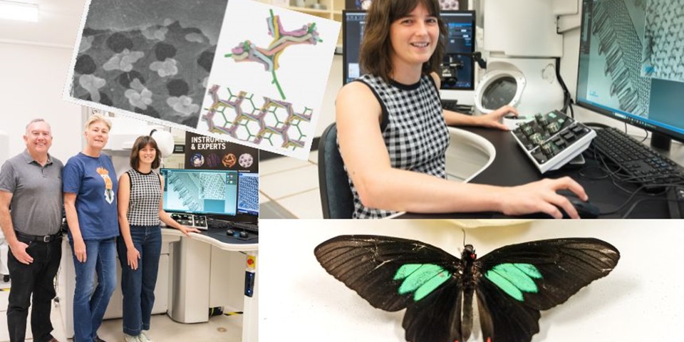 Dr Annie Jessop, research team and Emerald-patched Cattleheart butterfly.