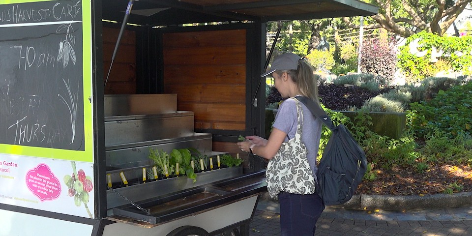 Dr Ribeiro at Epicurious Garden.