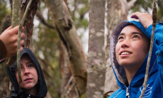 Ecology camp student looking at nature