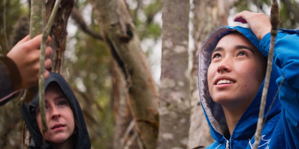 Ecology_Camp_Downscale Ecology camp student looking at nature