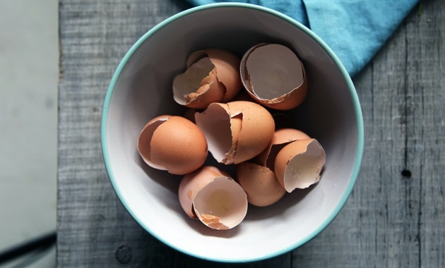 eggshells in bowl