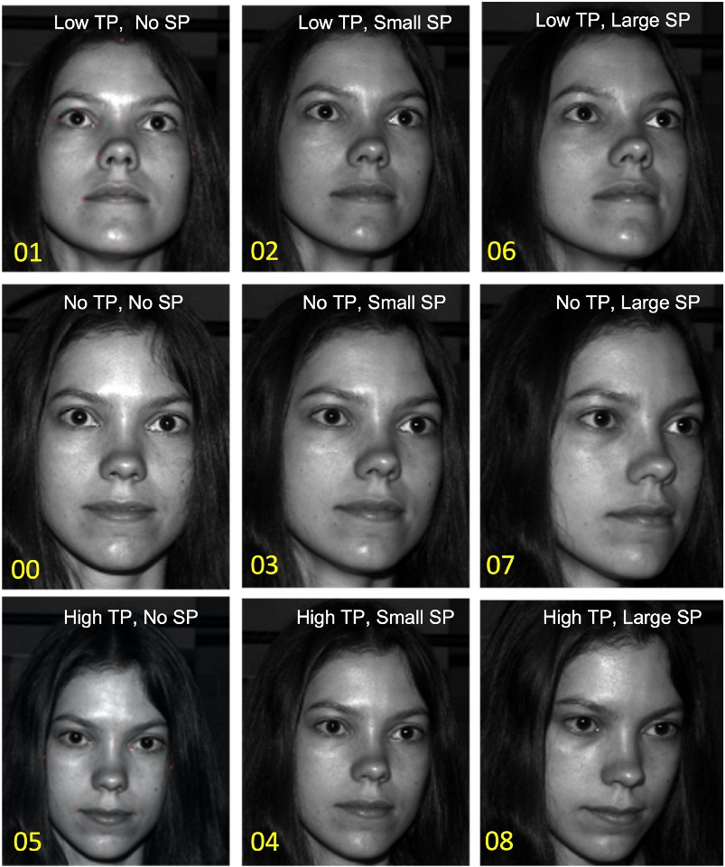 Face linking forensic tool Nine photographs of a girl's face from an online database.