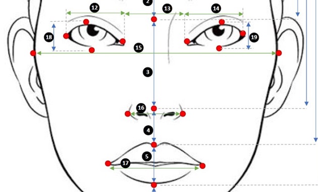 A diagram of a face with lots of biomarkers.