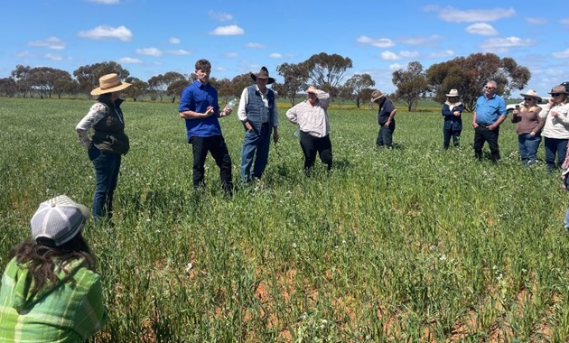 Farmers standing out in the field.
